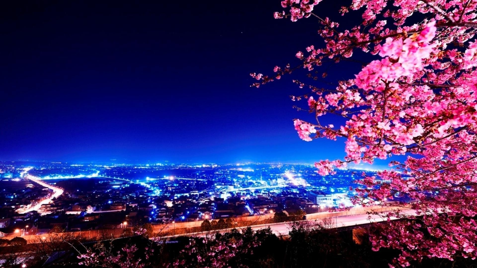 night evening twilight city evening sky illuminated dusk travel sunset light architecture cityscape outdoors