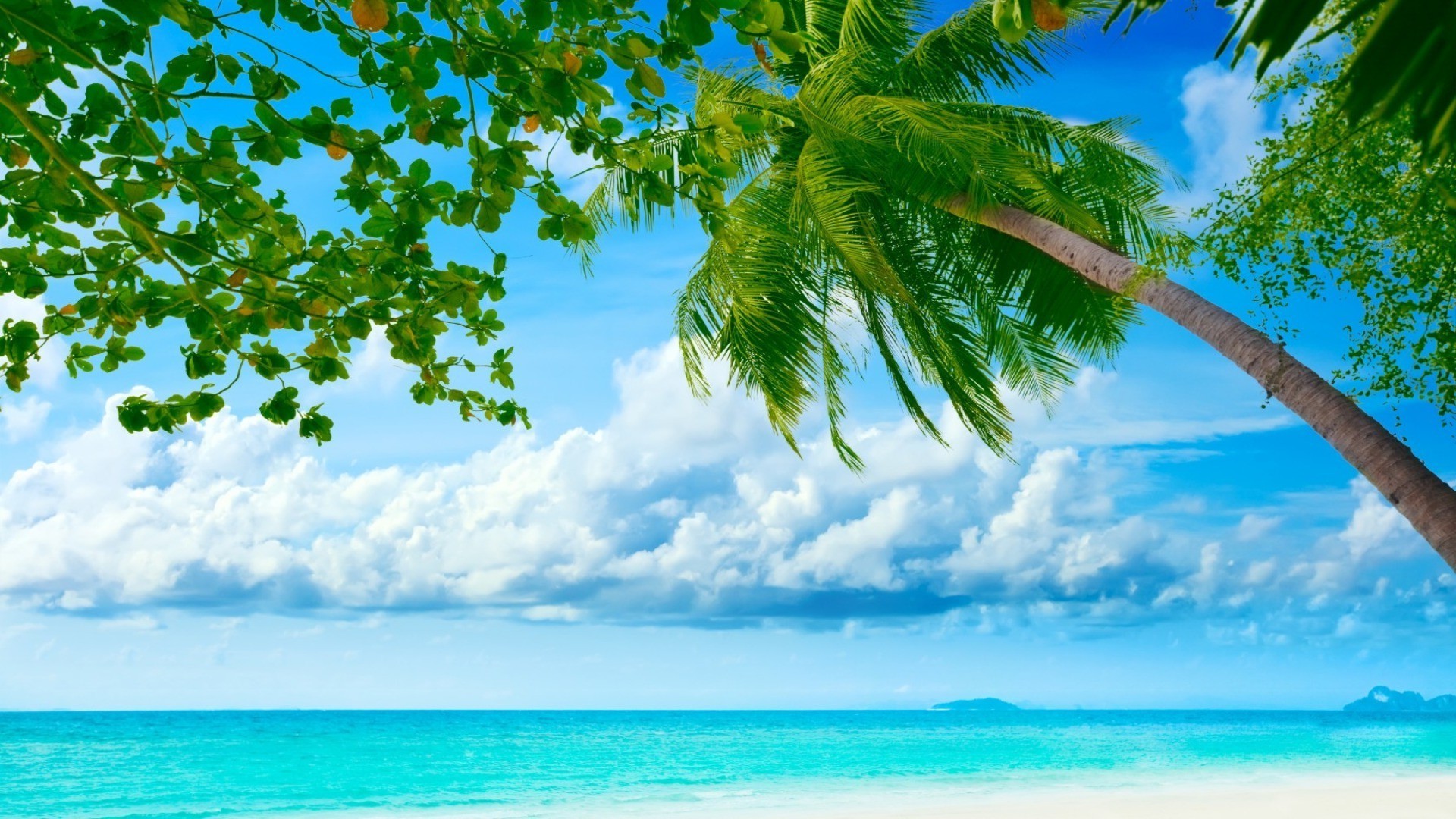 palm trees and tropical summer tropical nature sun water idyllic sky fair weather beach sand paradise ocean seascape tree exotic landscape island turquoise cloud