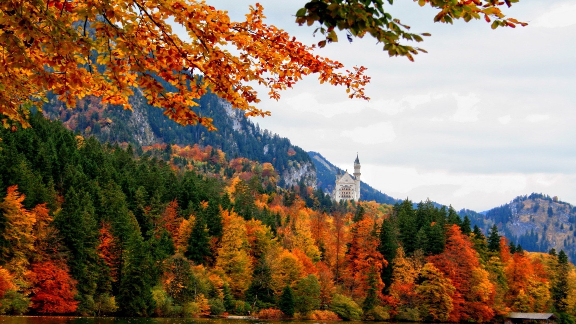 autumn fall wood tree leaf nature landscape outdoors scenic maple season scenery gold mountain park travel