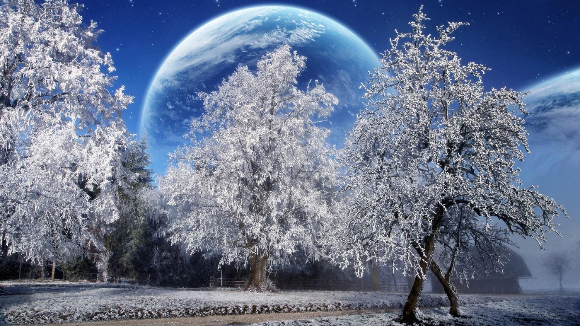 winter tree snow cold frost season weather moon sky landscape nature frozen frosty ice branch christmas wood scenic