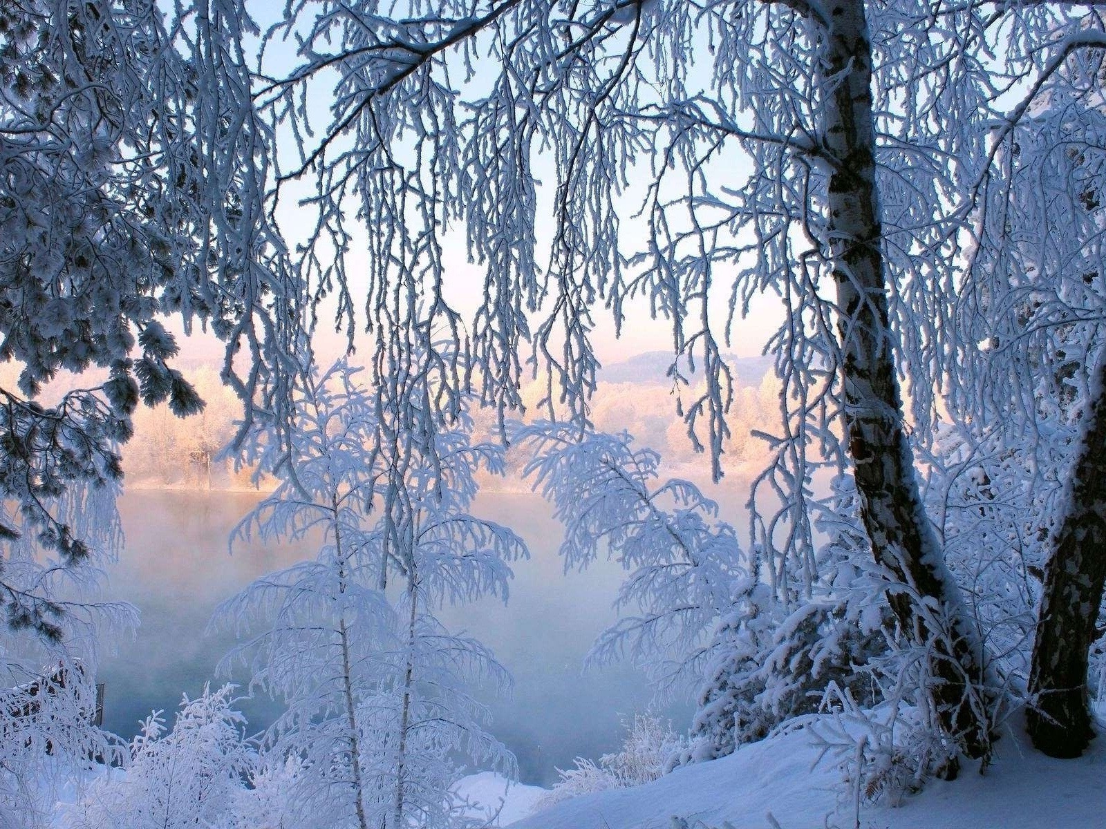 иней снег деревья озеро зима frost snow trees the lake winter бесплатно