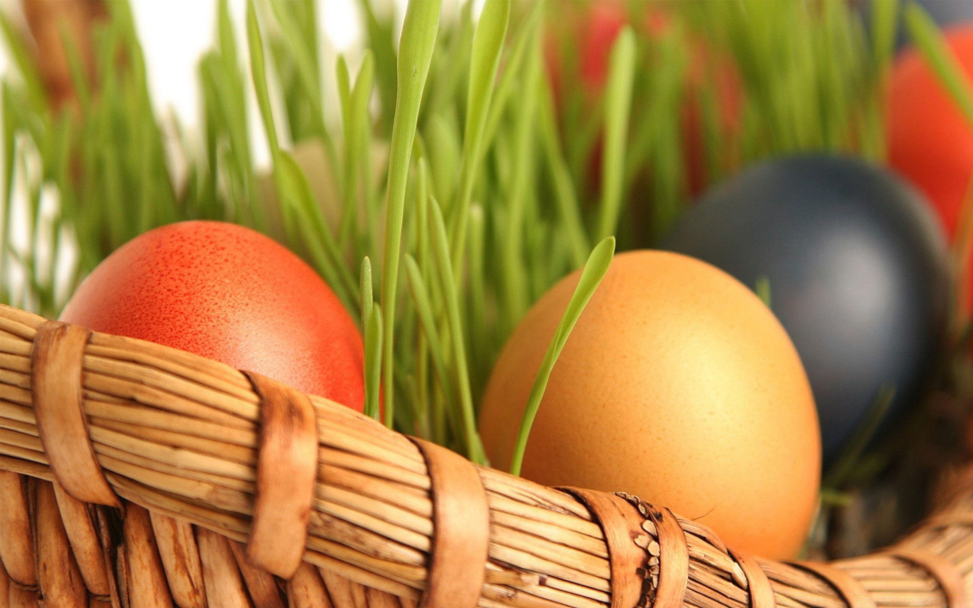 pasqua uovo cestino natura cibo pollo di vimini di legno tradizionale erba nido rustico di cottura di legno salute still life cibo