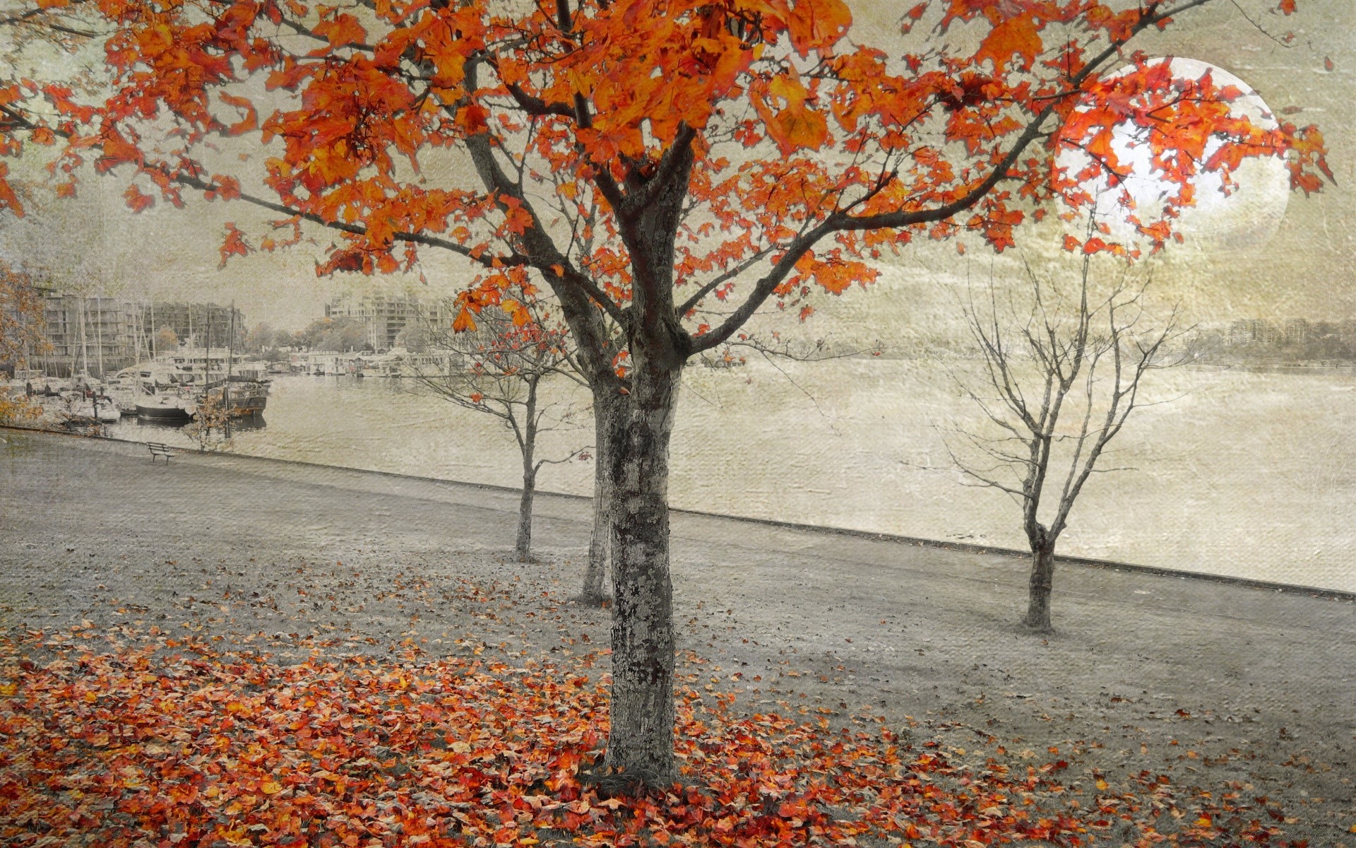 halloween autunno albero foglia paesaggio stagione maple branch parco natura colore all aperto scenic scena ambiente di legno