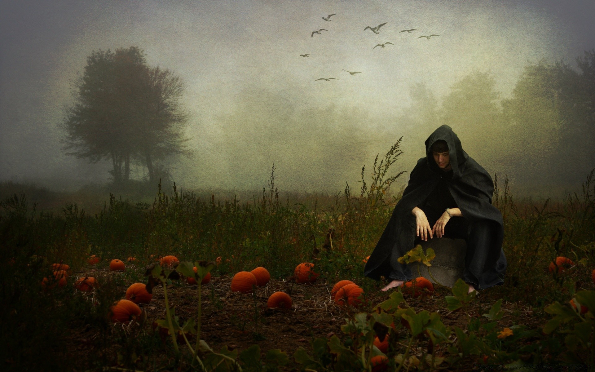 halloween tree fall adult one woman girl eerie wear two fog landscape group daylight agriculture cropland dawn weather storm