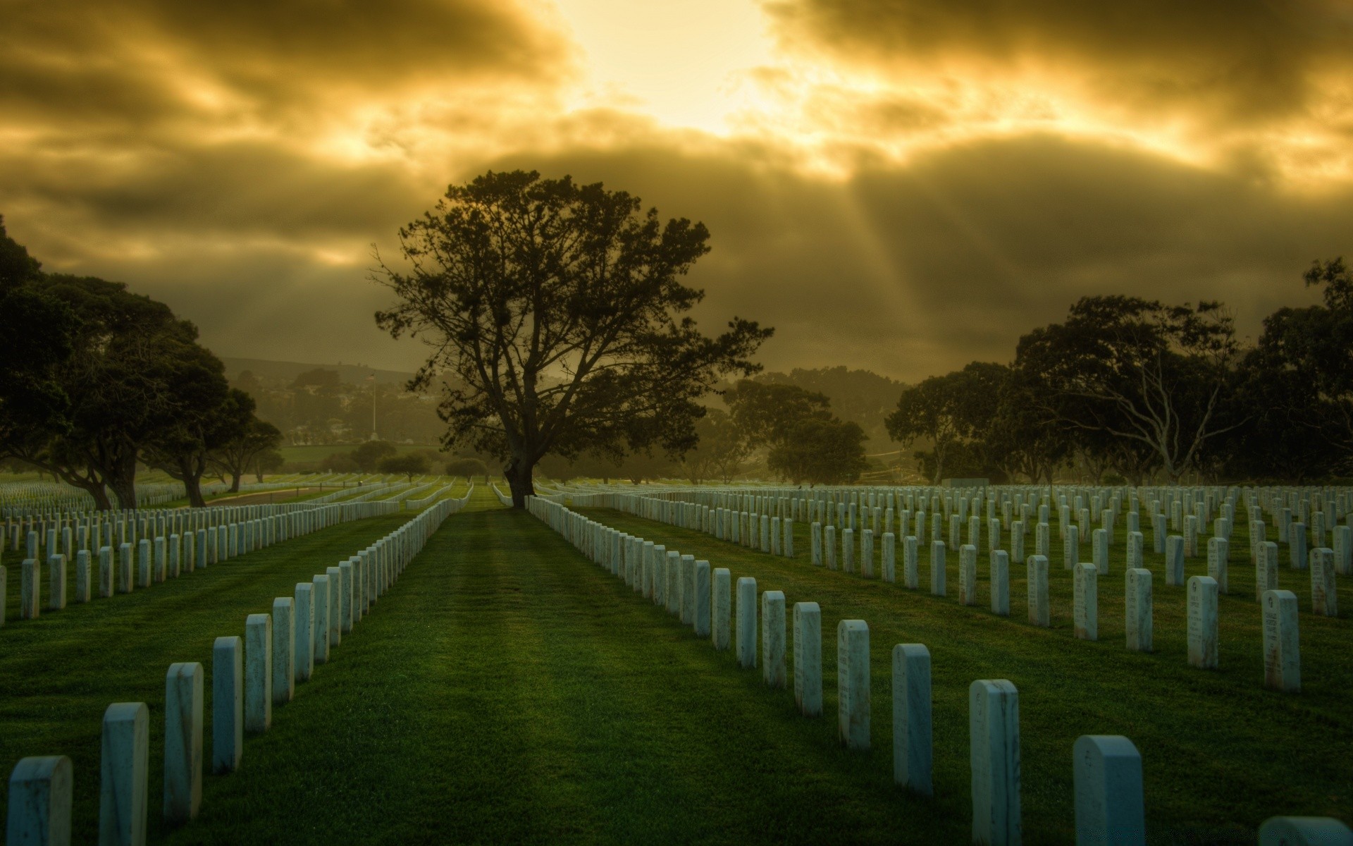 halloween sunset dawn sky tree nature sun outdoors dusk evening cemetery travel grass