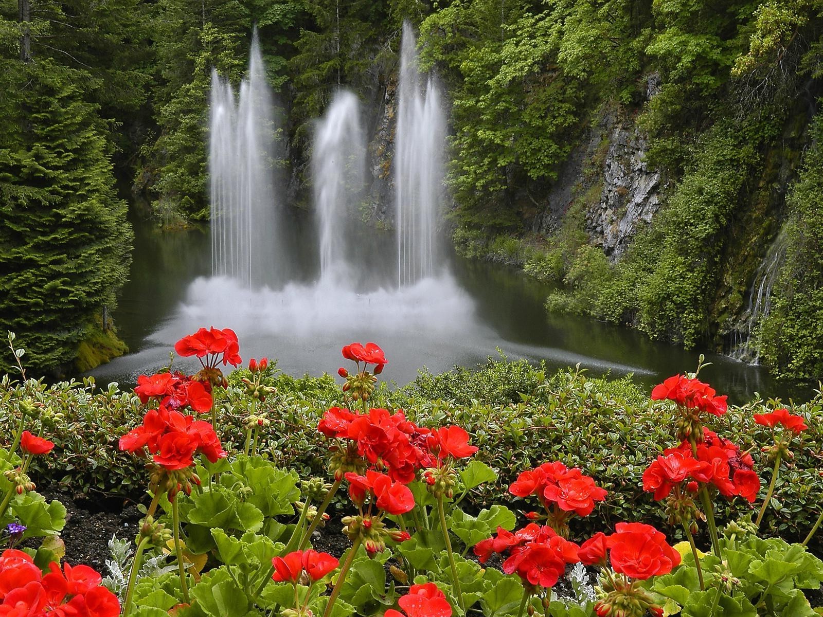 landscapes nature leaf flower water landscape summer outdoors park river garden waterfall flora