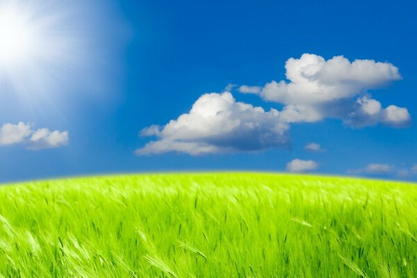 Prados y campos con nubes blancas