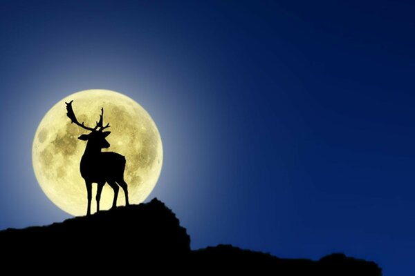 Deer on the background of the setting moon