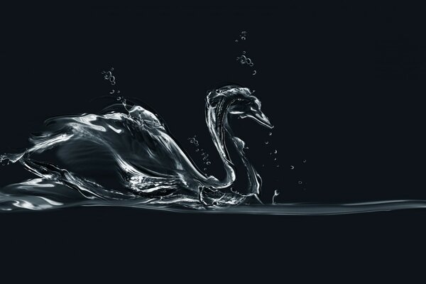 Abstraction et graphiques, mouvement de l eau Splash