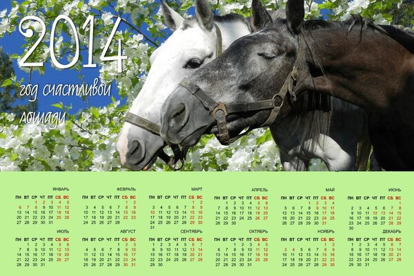 Calendário do cavalo para o Ano Novo