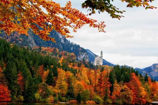 Autumn forest and castle in all its beauty