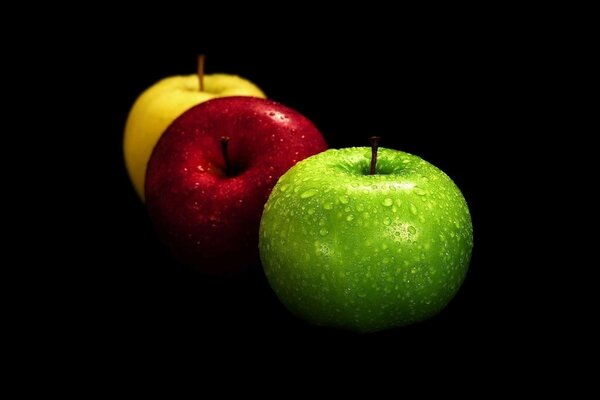 Trois pommes multicolores sur fond noir