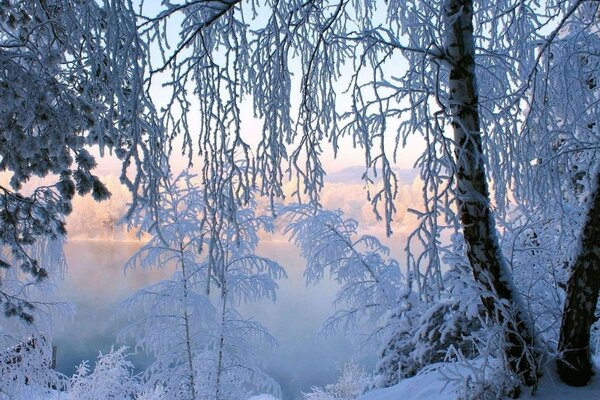 Winter fairy tale of wonderful nature