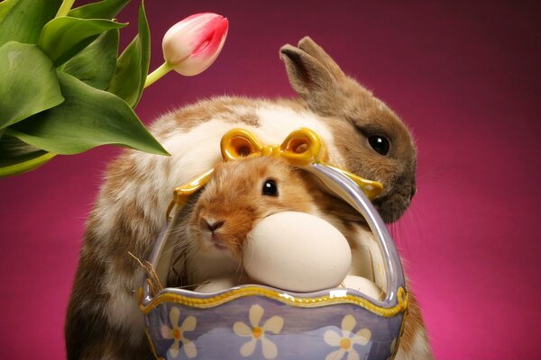 Easter bunnies in a porcelain basket with painted eggs and tulips