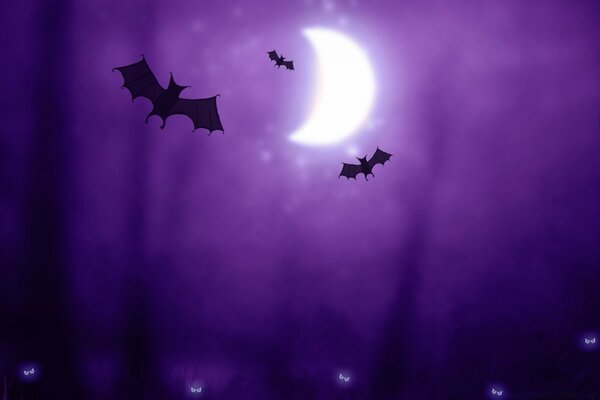 Chauves-souris sur le ciel violet