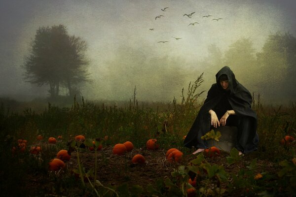 An adult man in a field with pumpkins