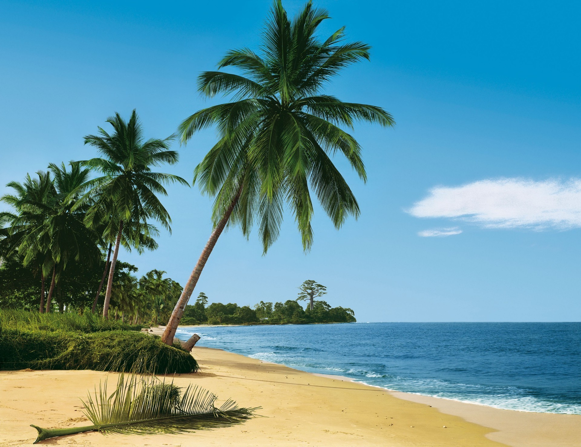 palm trees and tropical tropical sand beach idyllic seashore summer island relaxation travel palm vacation exotic paradise resort ocean sun seascape turquoise water coconut