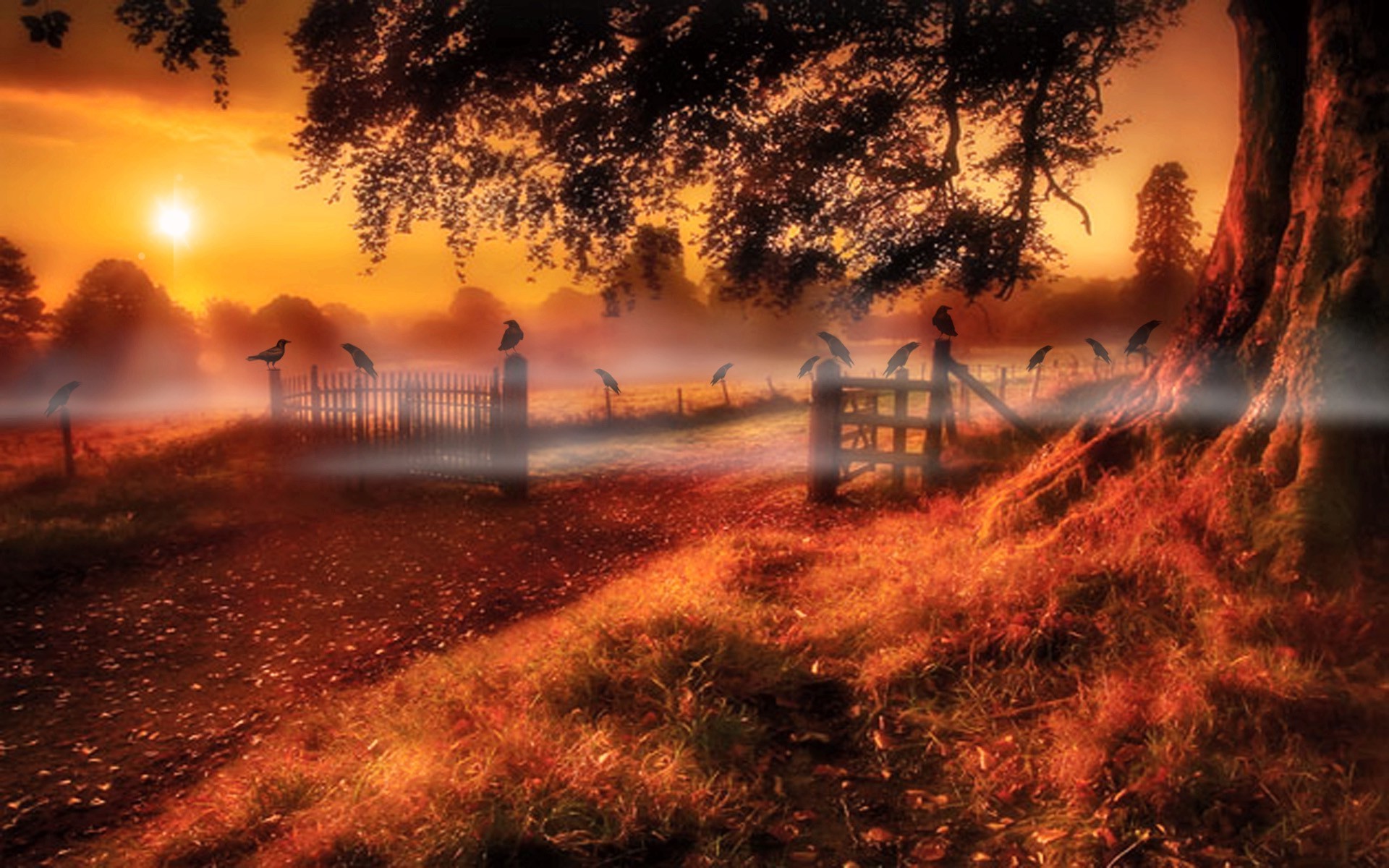 fantasie sonnenuntergang dämmerung landschaft sonne abend licht strand dämmerung baum himmel wasser natur herbst meer silhouette