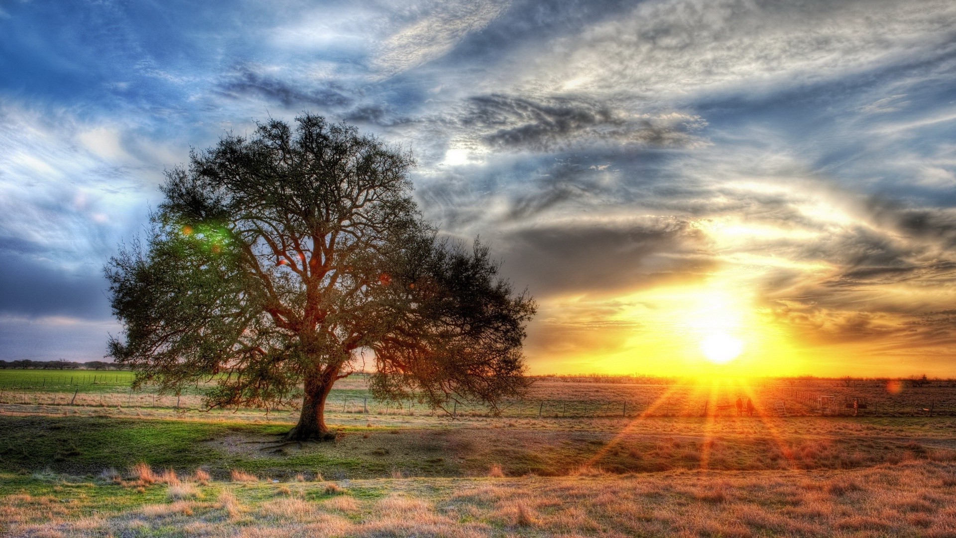 famous places sunset sun landscape nature dawn sky tree fair weather rural evening cloud countryside bright summer grass fall dusk