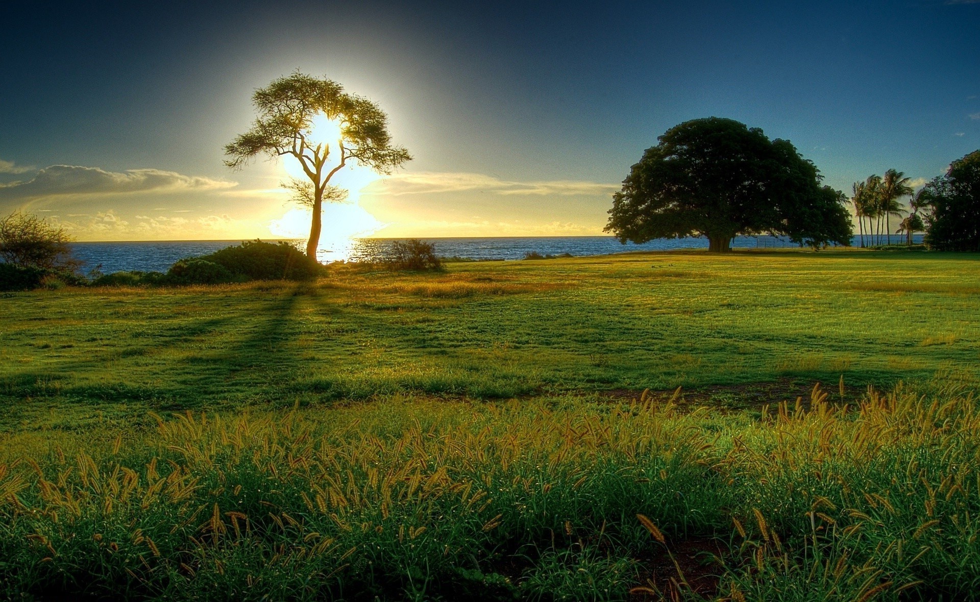 felder wiesen und täler landschaft sonnenuntergang natur dämmerung feld gras sonne himmel baum landwirtschaft ländliche im freien landschaft sommer abend gutes wetter bauernhof