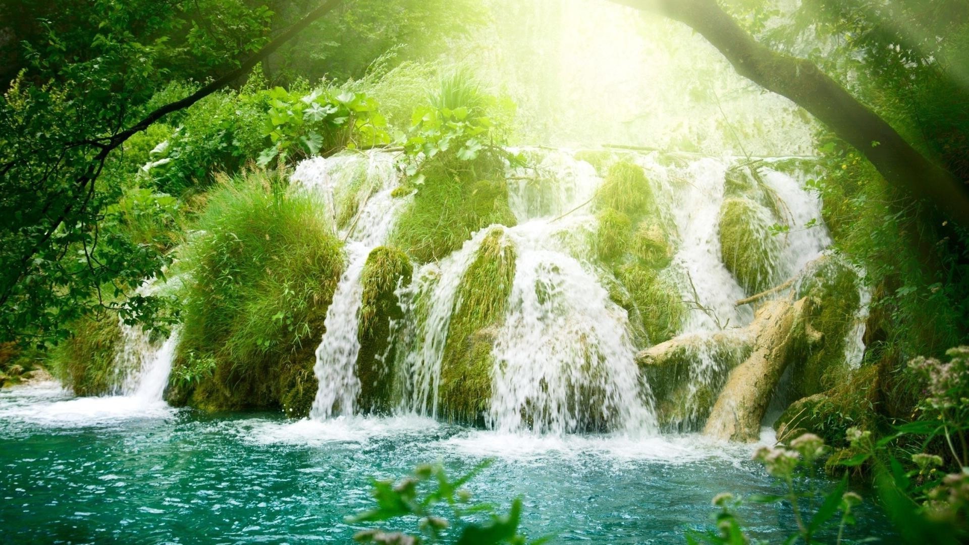 waterfalls water nature waterfall summer outdoors river leaf wood splash travel wet tropical landscape cascade environment stream park rock wild