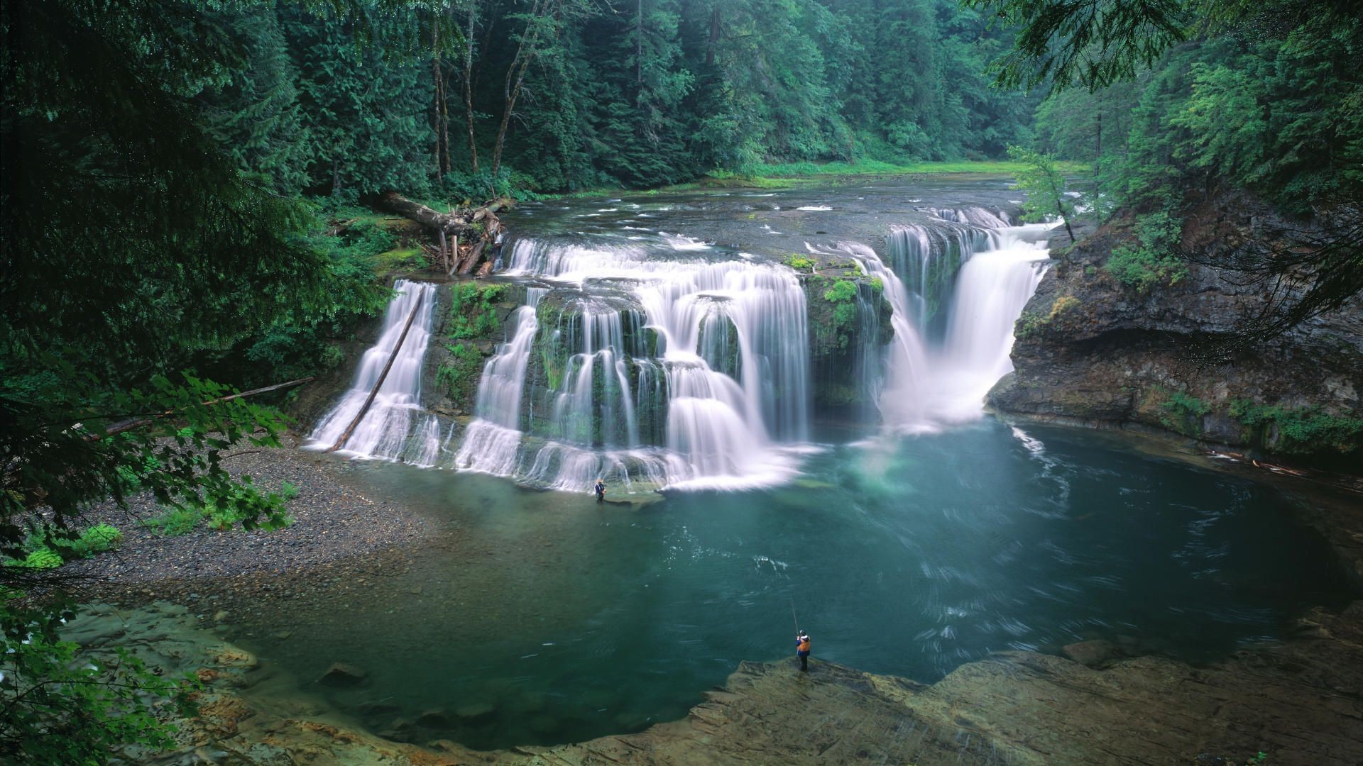 cascate acqua cascata fiume natura flusso legno viaggi paesaggio all aperto cascata roccia albero flusso movimento ambiente foglia montagna bagnato pulizia