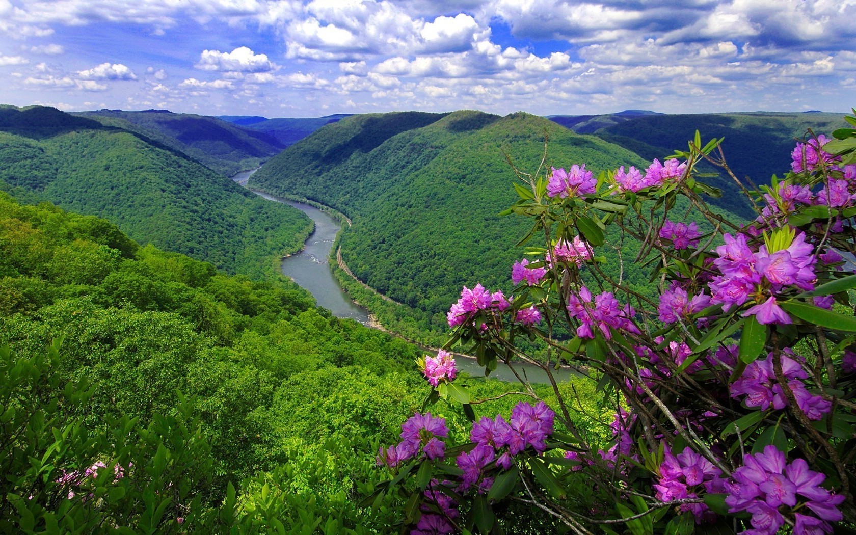 rivers ponds and streams nature landscape outdoors mountain summer travel wood tree environment