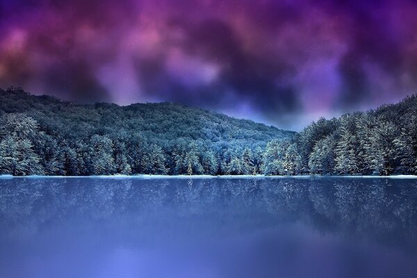 Winter forest on the lake shore