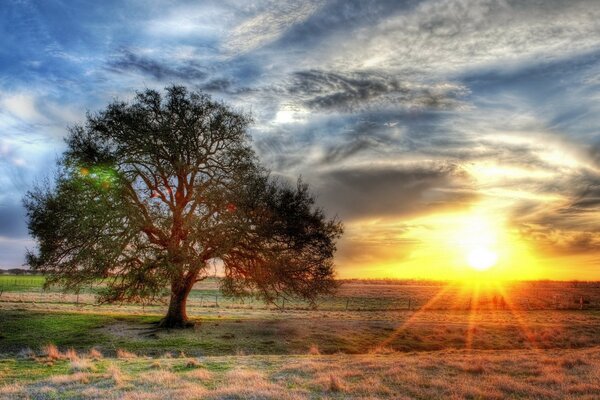 Paysage coucher de soleil sur la nature