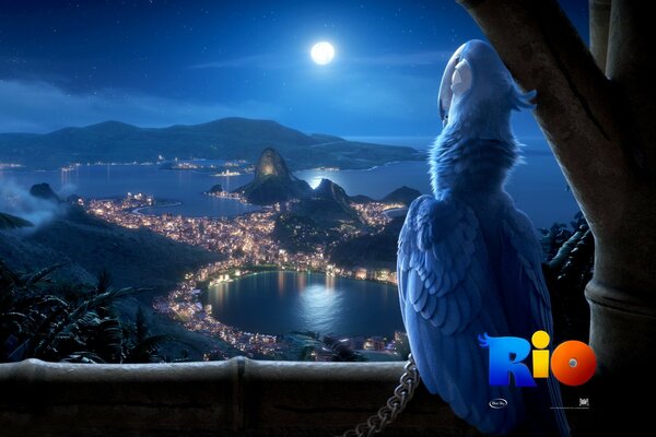 Rio s foreign cartoon about parrots