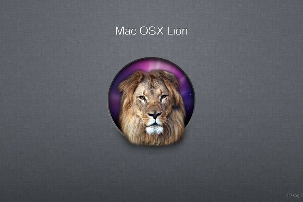 Mac OSX Lion Marke