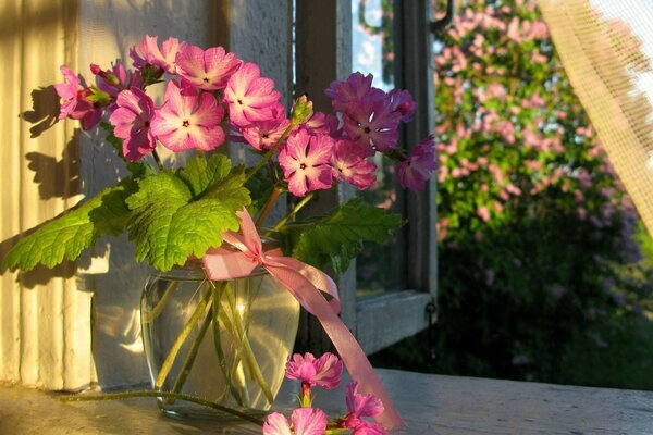 Fleurs roses dans un vase sur la fenêtre