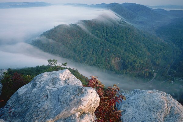 Fog over mountains, fog over forests