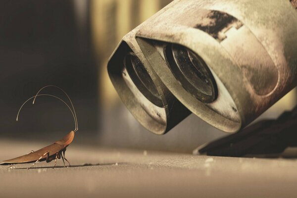 The robot VALLEY looks at the insect with interest