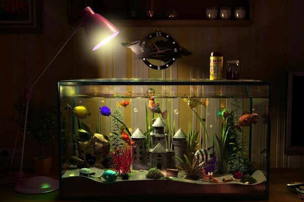 Acuario casero con peces de colores