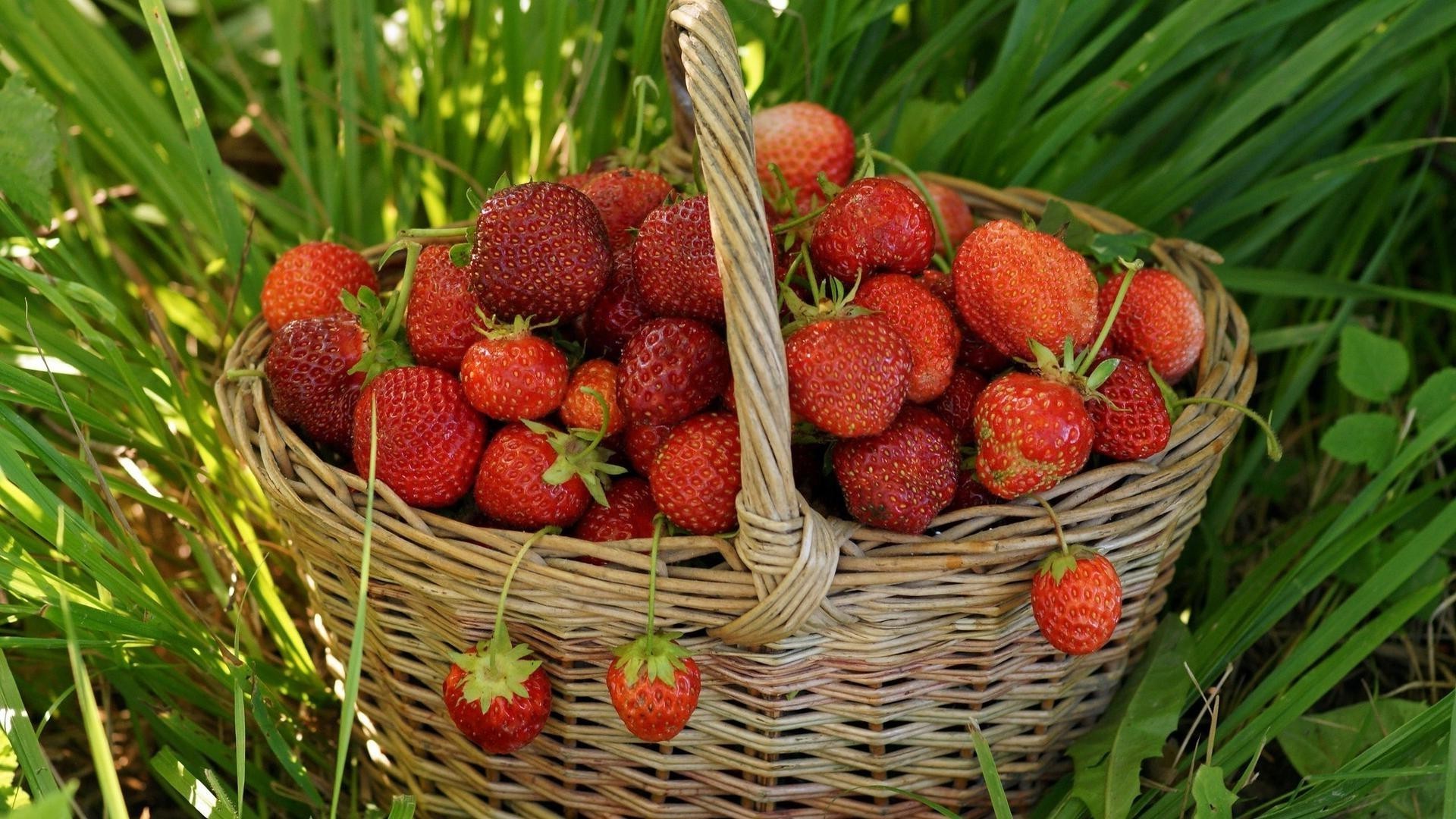 bayas comida fruta cesta saludable jugosa baya pasto jardín verano hoja fresa naturaleza primer plano frescura delicioso dieta pastelería salud delicioso