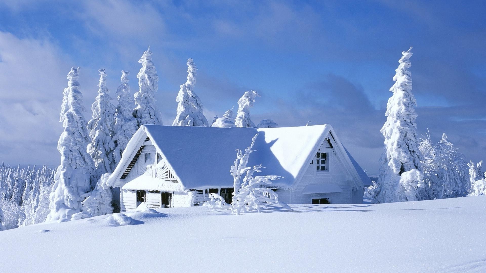 hiver neige froid glace congelé givré cabane gel maison montagne bungalow paysage bois météo chalet scénique