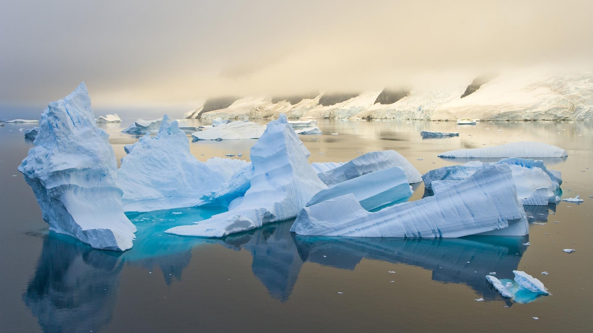 gelo iceberg gelado água natação viagens derretimento mudanças climáticas neve geleira frio oceano groenlândia inverno mar