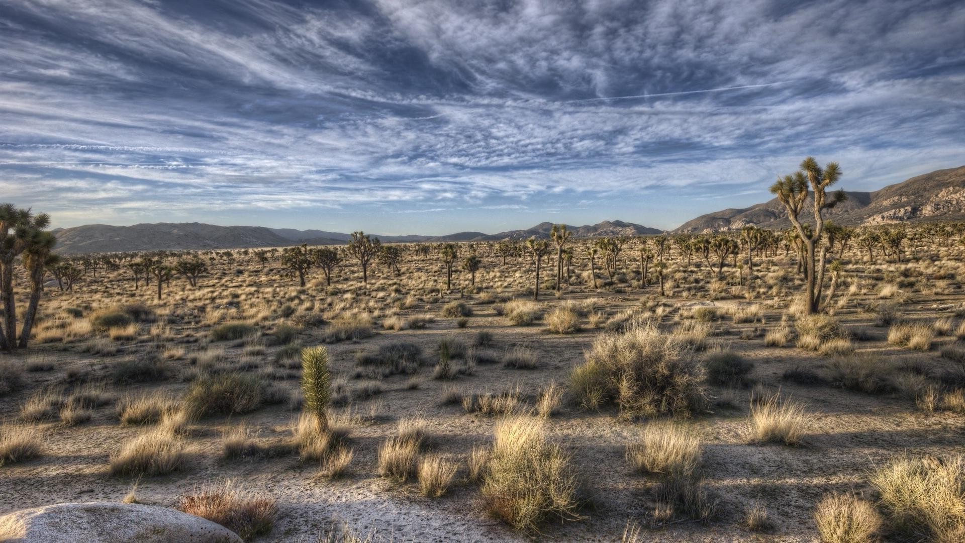 deserto paesaggio viaggi cielo all aperto scenico asciutto natura aride montagna roccia sterile