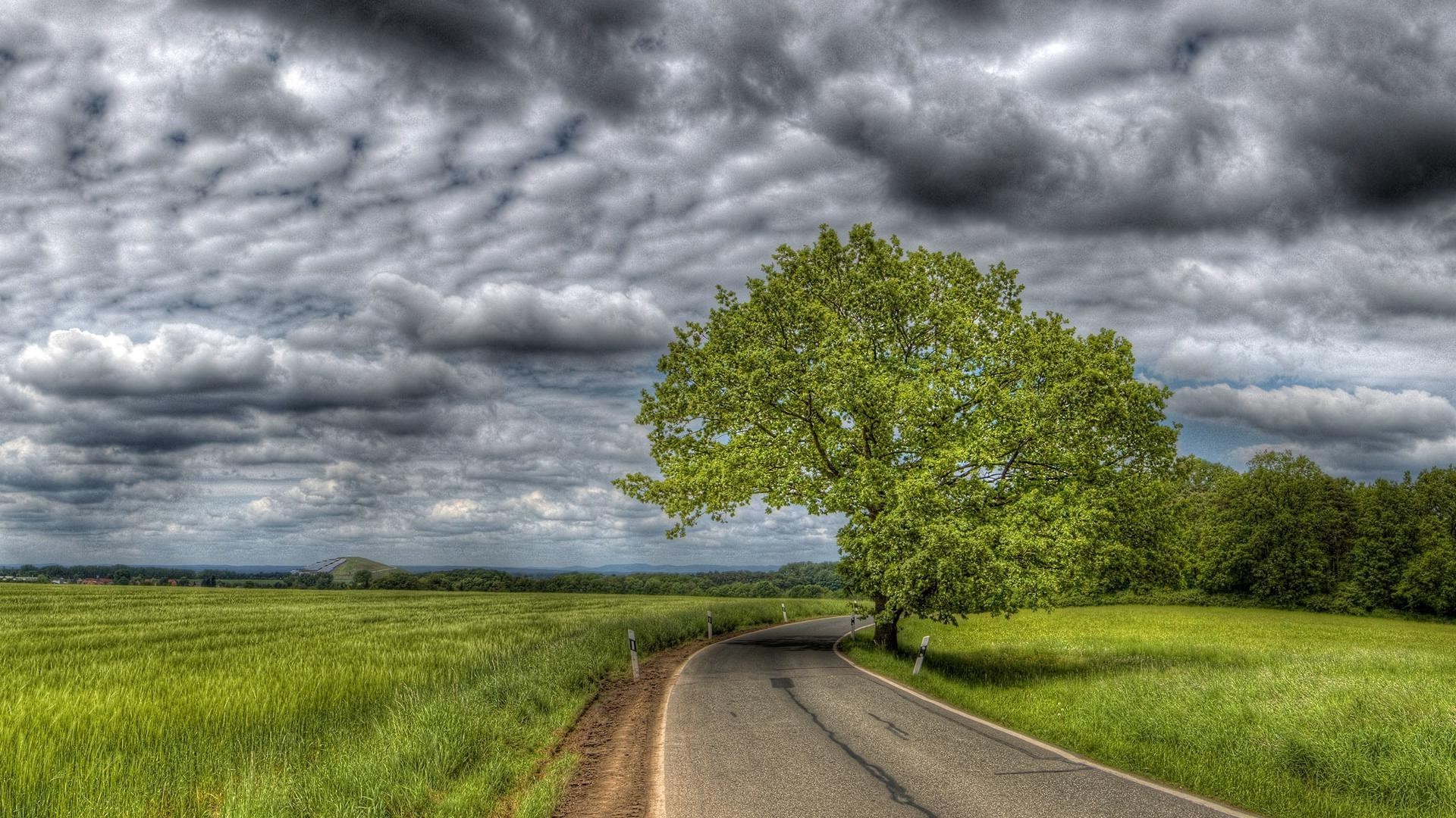 estate paesaggio rurale natura strada campagna cielo erba nuvola albero nuvoloso tempesta campo guida all aperto orizzonte prospettiva fieno meteo