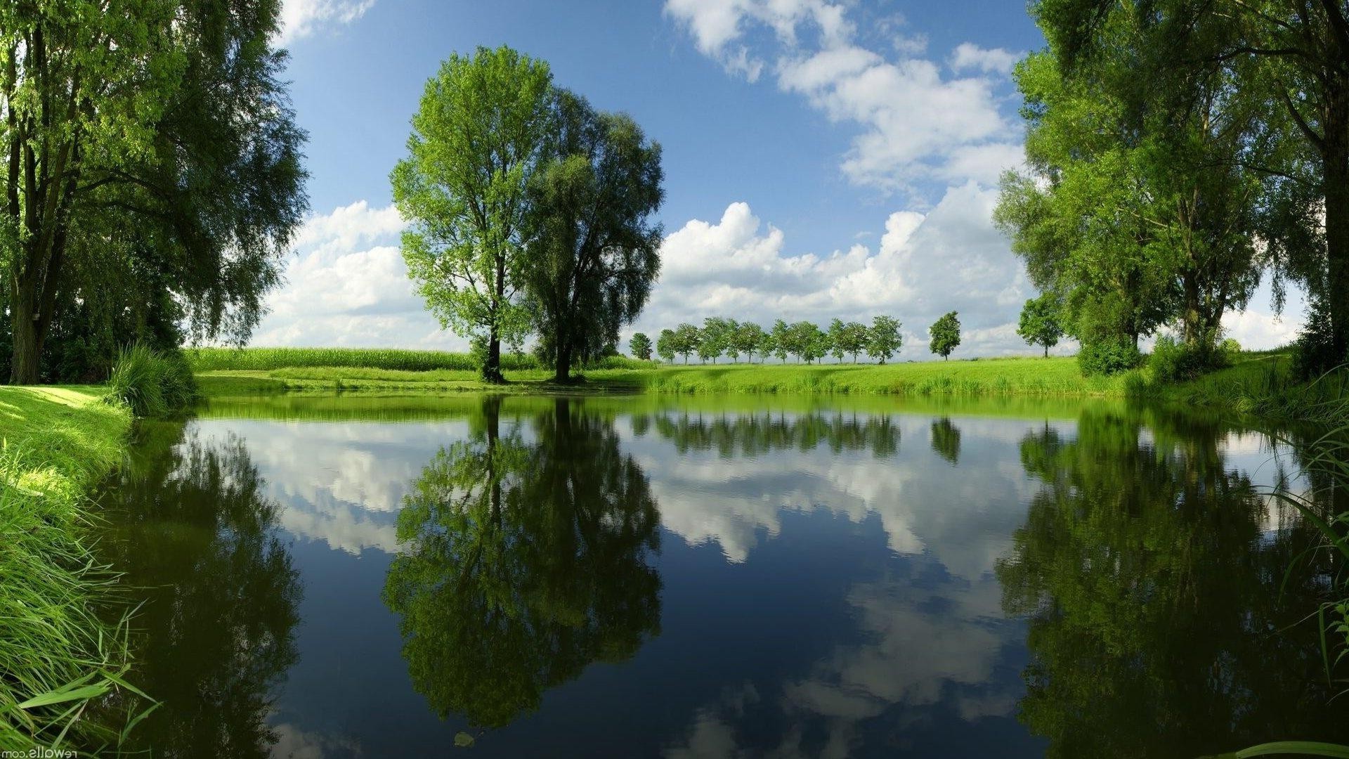 rivers ponds and streams water nature reflection tree landscape lake outdoors river summer wood pool grass leaf sky rural idyllic environment fair weather composure