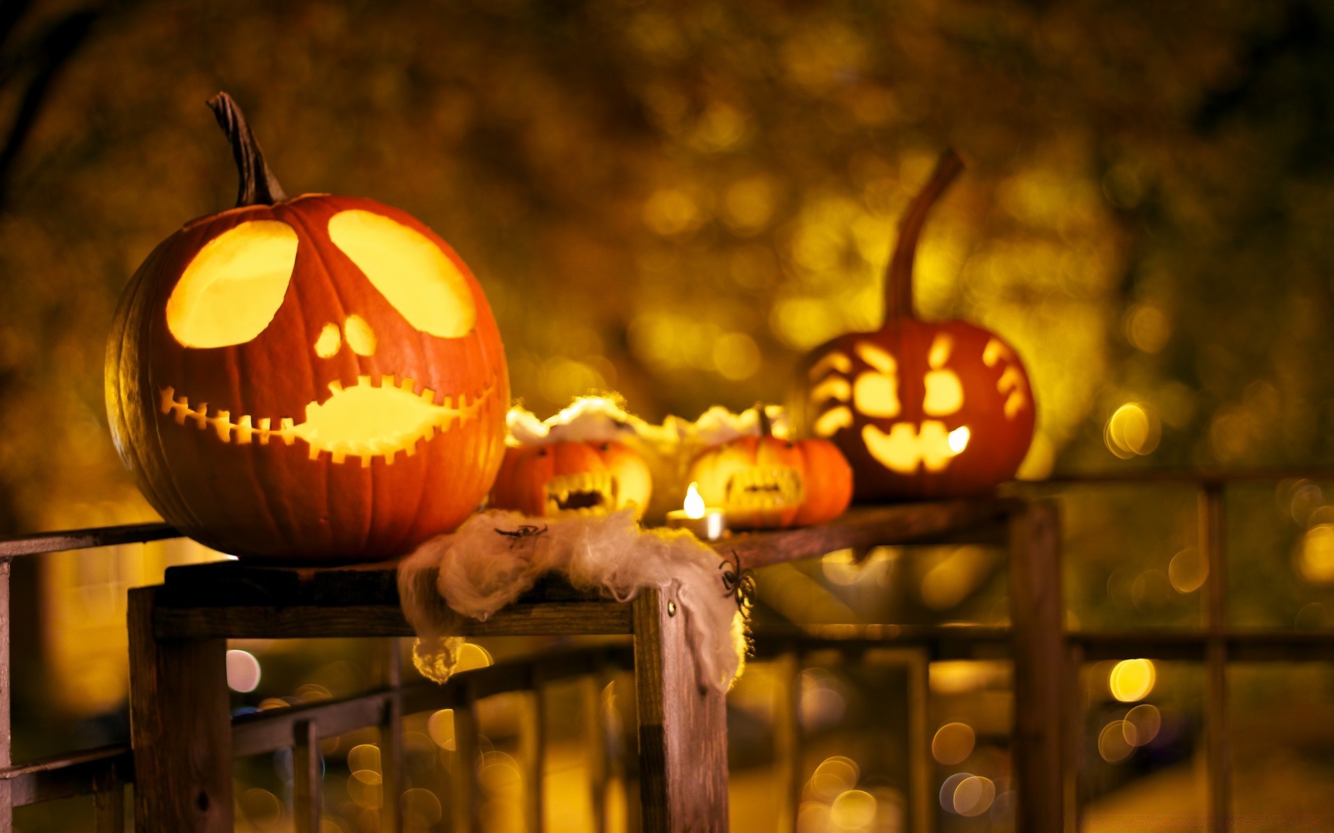 halloween lanterna abóbora vela chama feriado festival outono