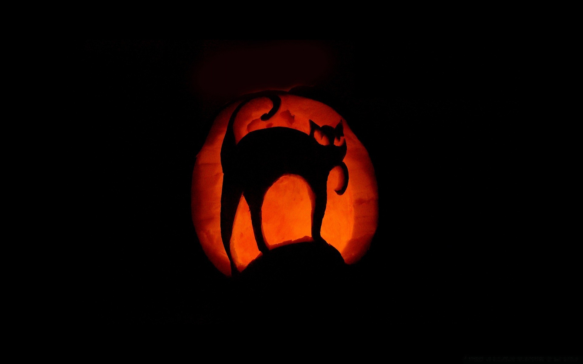 halloween kürbis flamme mond dunkel desktop bösartig gruselig horror angst