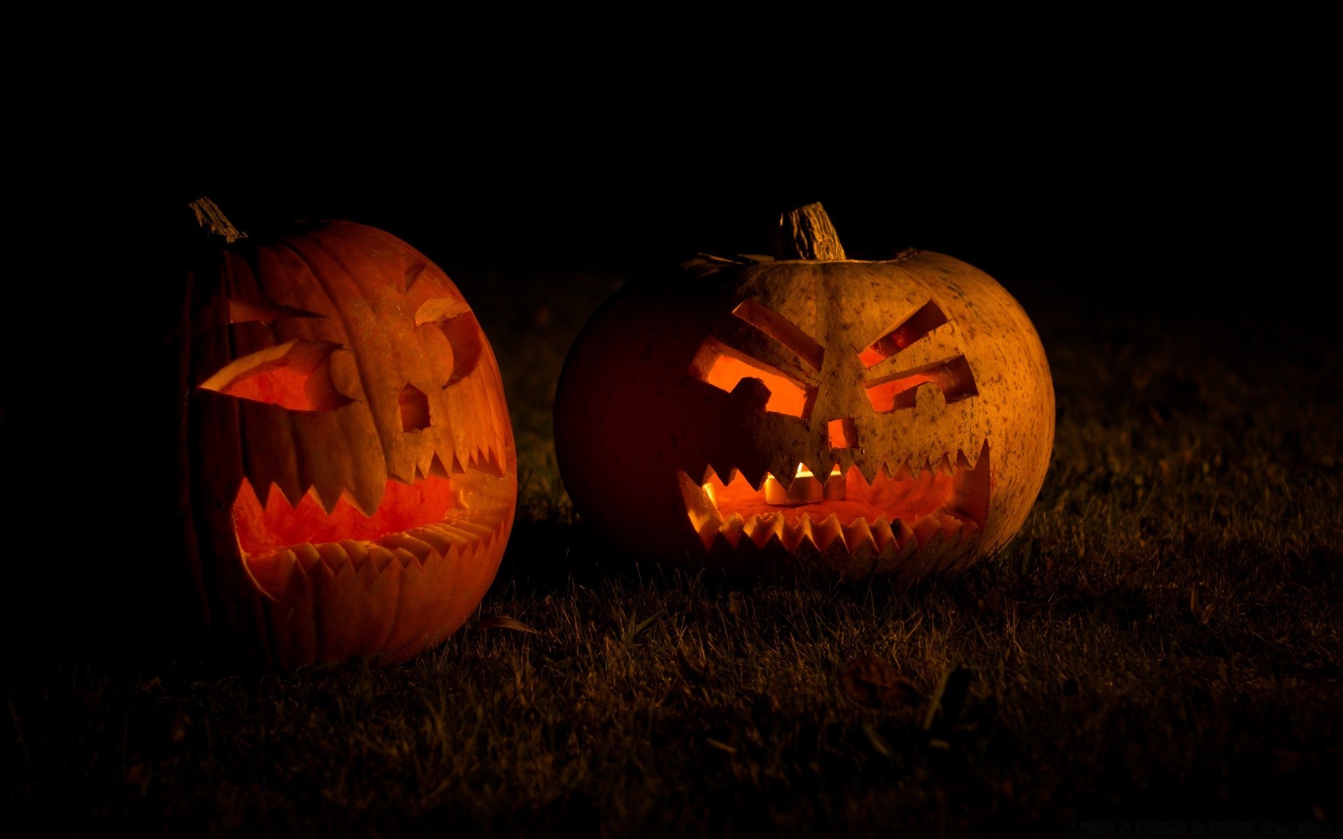 halloween calabaza horror espeluznante linterna vicioso miedo torpe calabaza fantasma espeluznante miedo otoño mirar vela naturaleza muerta truco crecer