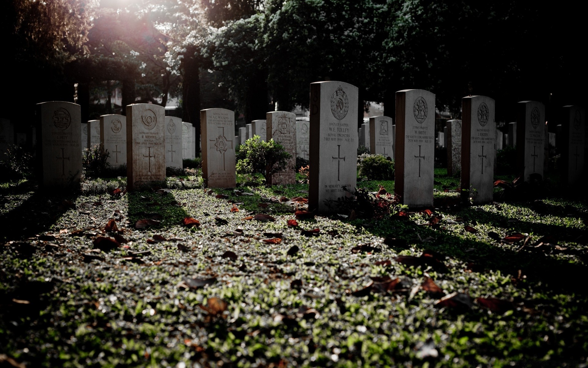 halloween friedhof grab grabstein bestattung beerdigung erinnerung im freien friedhof krieg opfer reisen militär trauer