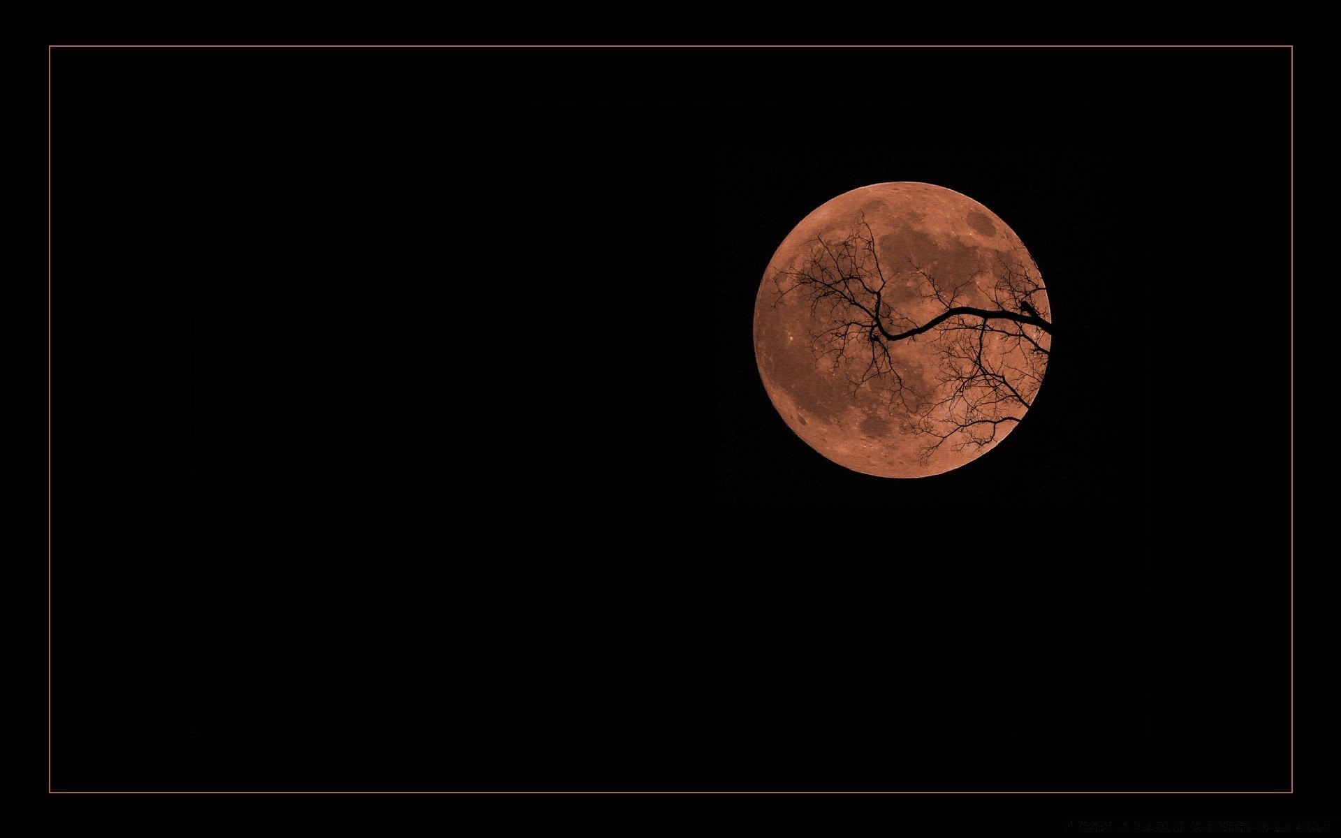 halloween lua lunar astronomia lua eclipse desktop escuro cratera planetas telescópio lua cheia crescente satélite espaço espaço astrologia celestial esfera