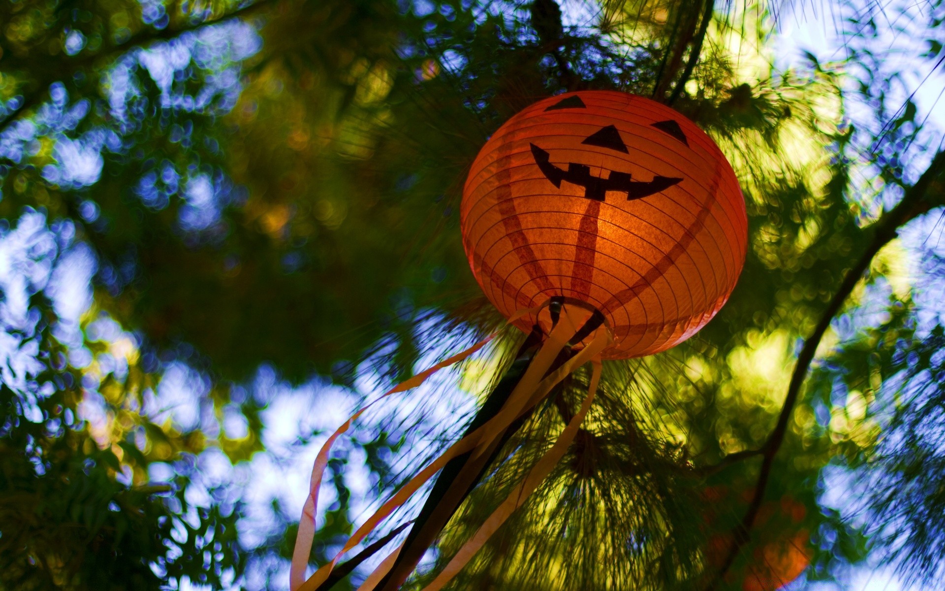 halloween baum holz natur im freien blatt farbe