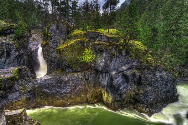 Landschaft mit natürlichem Wasserfall und Wald