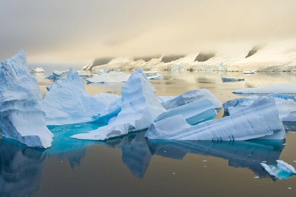 Nature, ice and ocean. Iceberg on the water