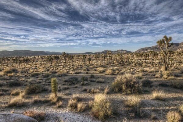 Nature. Desert and beautiful sky